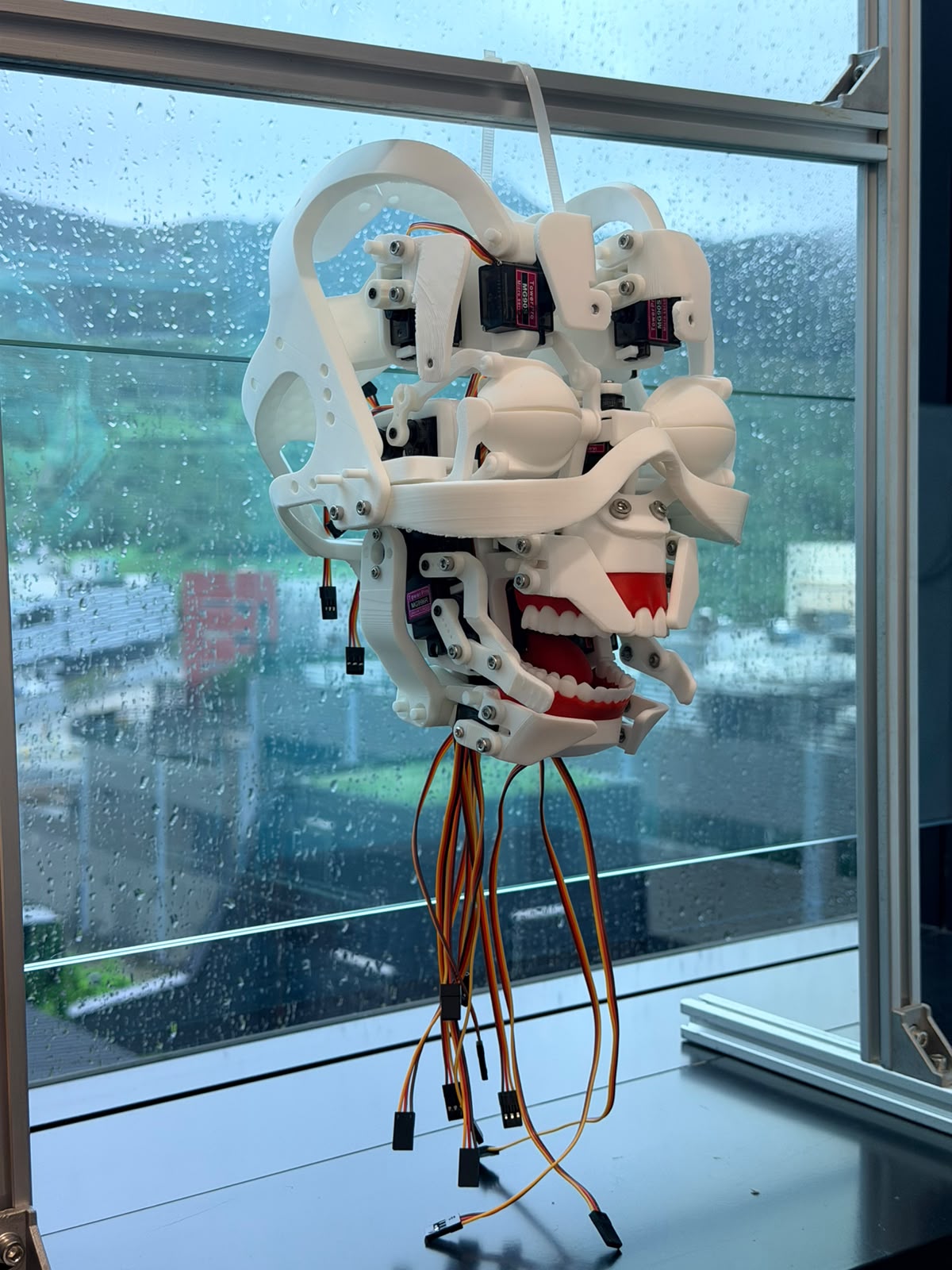 A servo-actuated robotic face prototype