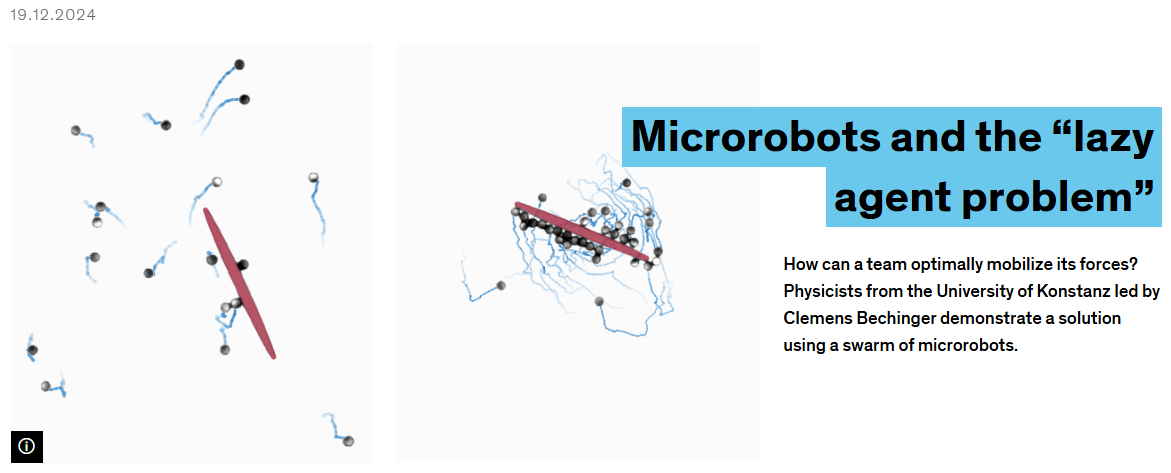 Microrobot swarm collective transport visualization