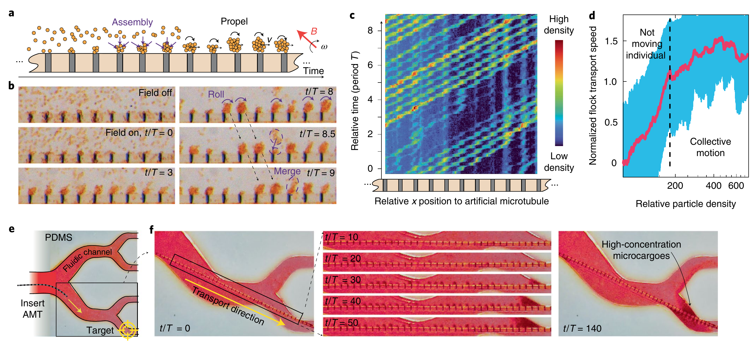 Artificial microtubule mechanism