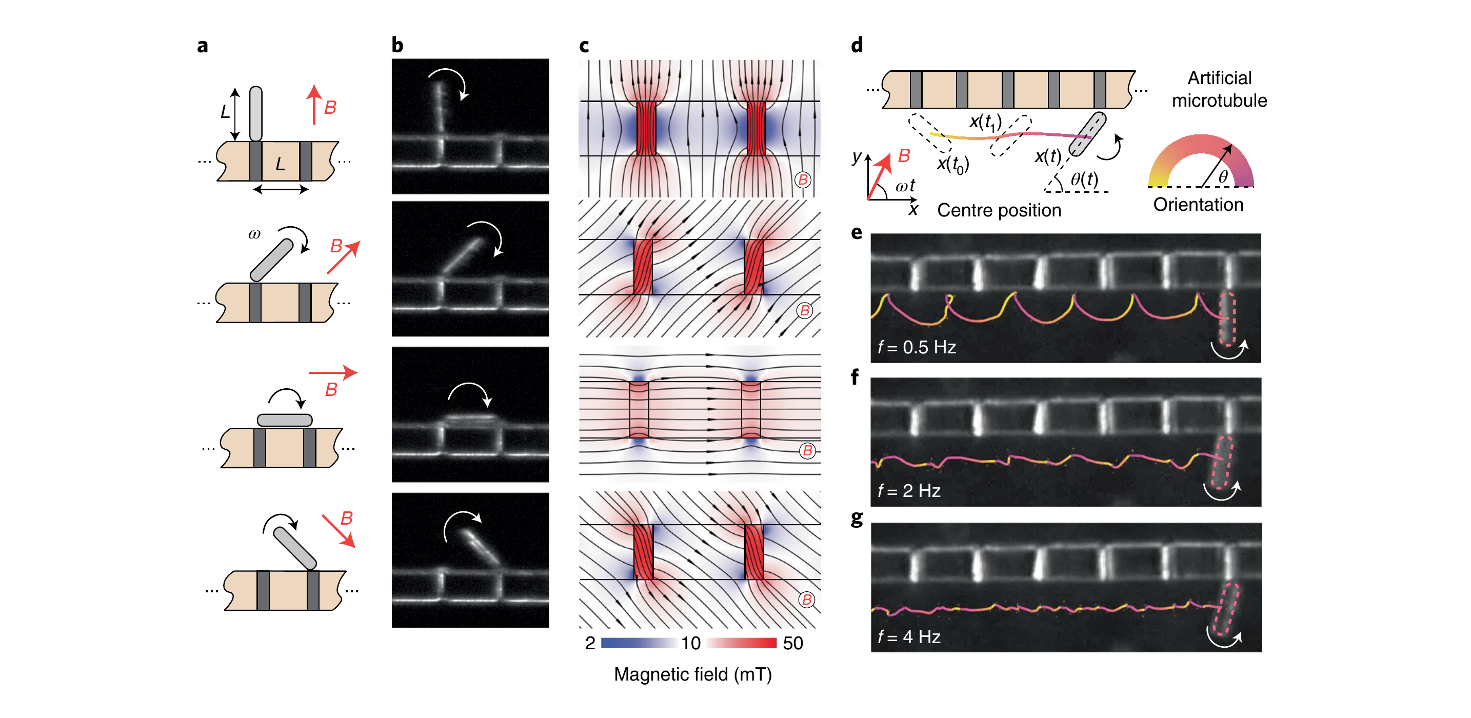 Field-driven microrods step along patterned nickel sites embedded in a microfibre.