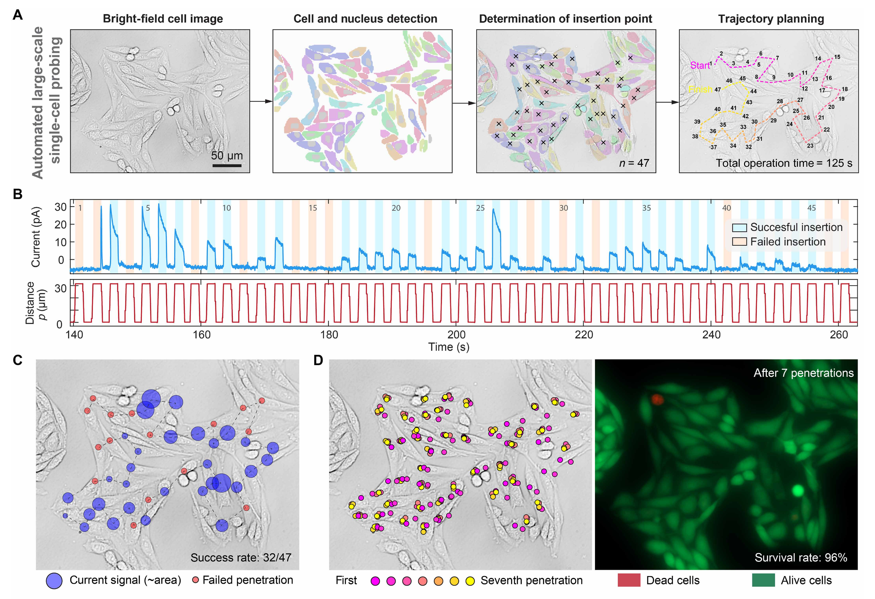 Automated planning and repeated probing quantify penetration success and cell survival.
