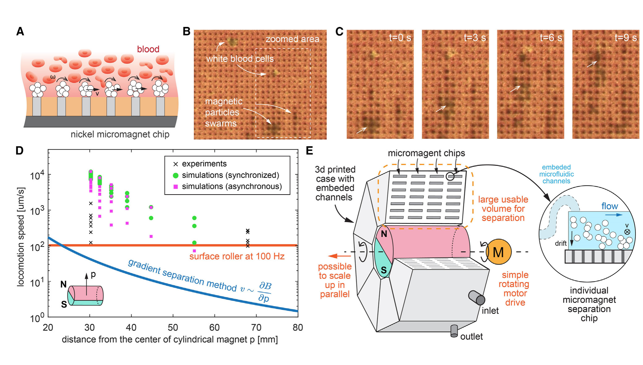 Porcine-blood operation, speed comparison and a proposed parallel multi-chip architecture define the scale-up argument.
